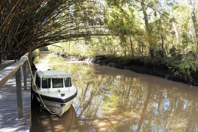 tigre delta vacaciones 2020