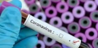 Coronavirus: Otras 248 personas murieron y 11.100 fueron diagnosticadas en el país