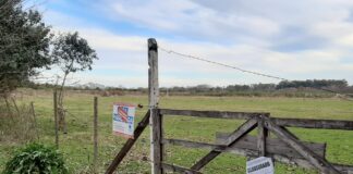 Escobar: Se clausuró un loteo clandestino en Loma Verde