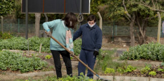 San Isidro: Como hacer una huerta en casa