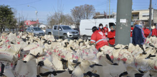 Tigre: Se recibió de la Fundación ChinaPass 2.400 canastas de alimentos para vecinos de Troncos del Talar