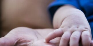 San Isidro: Nuevo encuentro online del ciclo de charlas sobre adopción