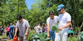 San Isidro: Para Aprovechar el tiempo en casa, proponen hacer huertas