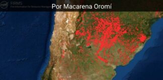 Presente en llamas, ¿futuro en cenizas?