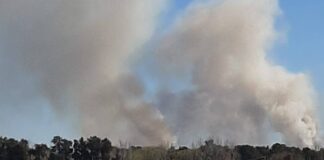 El Municipio de San Fernando reitera la peligrosidad de la quema de pastizales en el Delta