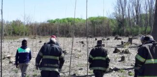 San Fernando: El Municipio y Bomberos extinguieron un incendio en el Delta
