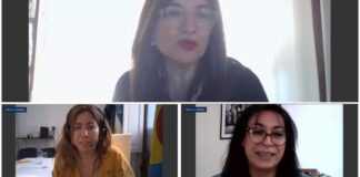 La Ley de Cupo Laboral Travesti Trans “Diana Sacayan” en la Provincia de Buenos Aires
