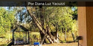 Reflexiones …ser docente de este tiempo