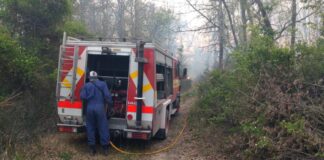 Escobar: Comunicado de la Municipalidad sobre los incendios en el Paraná de Las Palmas