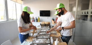 San Fernando: El Municipio brinda consejos de reciclaje y cuidado del medio ambiente desde las redes sociales de Eco Sanfer