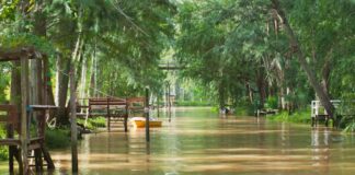 Tigre: Emprende una campaña de prevención por los incendios en el Delta