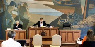 Tigre: Segundo Cernadas impulsó la paridad de género en el reemplazo de concejales, consejeros escolares, diputados y senadores provinciales