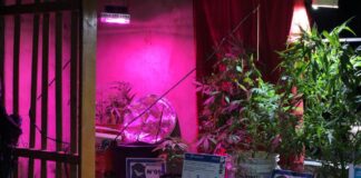 Escobar: Cayó una banda narco y fue desbaratado el laboratorio donde realizaban todo el proceso previo a la venta de droga