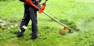 Tigre: recomendaciones para el manejo de residuos en cestos de basura, corte de césped, poda y construcción