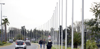 Tigre: Mejora su situación epidemiológica frente al COVID-19