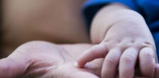 San Isidro: Cómo es el camino y cuáles son los requisitos para adoptar