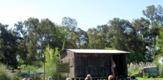 Tigre: Comunidades formaron la “Unión de Pueblos Originarios de Tigre y Escobar”