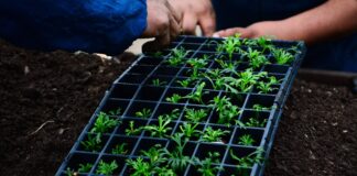 Escobar: Con récord de inscriptos comenzaron los cursos de extensión para capacitación en huerta agroecológica