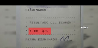 Tigre: Conductor ebrio y en contramano detenido gracias a las cámaras de COT
