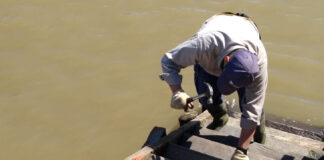 Tigre: El Municipio continúa con tareas de mantenimiento integral en el Delta