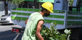 San Fernando: El Municipio continúa con la parquización de las avenidas y centros comerciales