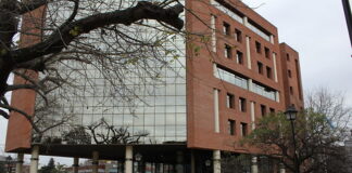 San Isidro: Cómo serán los servicios municipales durante las fiestas