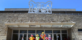Tigre: Se comenzó a formar su propio grupo de clowns hospitalarios