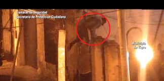 Tigre: Gracias a las cámaras del COT, cayeron tres ladrones que pretendieron robar en una vivienda en Don Torcuato