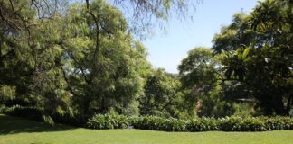 San Isidro: Un ejemplo en restauración ecológica