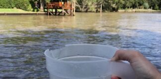 Tigre: Cianobacterias en el Delta, continúan los monitoreos, campañas de prevención y de tratamiento de agua