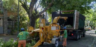 San Isidro: Trabajos correctivos en árboles para ganar luz y seguridad
