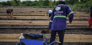 Escobar: La Municipalidad llevó adelante una jornada de siembra y trasplante de plantines en la segunda huerta agroecológica del distrito