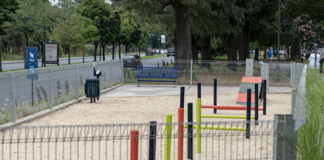 San Isidro: Inauguró su segundo espacio de juegos para perros