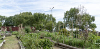San Isidro: Lanzó un mapa agroecológico