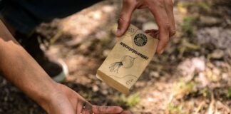 Escobar: Se entregó más de 10.000 kit de semillas de verduras y hortalizas y 90.000 semillas aromáticas a vecinos y vecinas del distrito