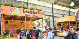 Escobar: La huerta agroecológica municipal ya cosechó 2.500 kilos de alimentos saludables