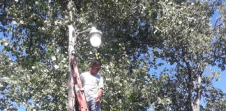 Tigre: Continúan los trabajos de mantenimiento integral en el Delta