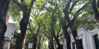 San Isidro: Cómo será la puesta en valor del casco histórico