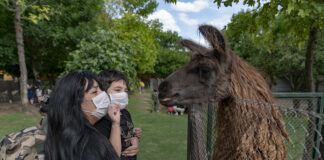 San Isidro: Salidas con los chicos, la Chacra San Isidro Labrador sigue abierta en marzo