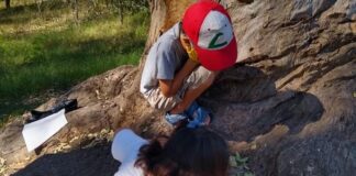 Escobar: el Municipio organizó el primer encuentro de mini protectores ambientales en la Reserva Natural Educativa
