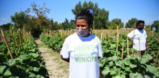 Escobar: La huerta agroecológica municipal de Maquinista Savio donó su primera cosecha a merenderos y ollas de la localidad