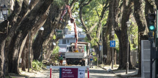 San Isidro: Avanzan los trabajos correctivos en las tipas de Av. Del Libertador