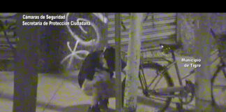 Tigre: El COT frustró el robo de una bicicleta en El Talar