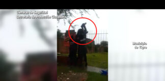 Tigre: Quiso robar en una propiedad y trató de huir saltando una reja, el COT lo atrapó antes que escapara