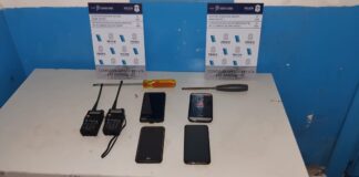 San Isidro: Desbarataron una banda que robaba autos con inhibidores de alarmas