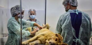 Escobar: El Hospital Municipal de Zoonosis es el elegido por la UBA