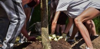 Escobar: Los vecinos podrán apadrinar un árbol en el marco del Plan de Arbolado Urbano “Plantando Conciencia”