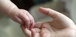 San Isidro: ¿Es difícil adoptar? El camino para lograrlo