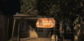 Escobar: Se clausuraron dos fiestas clandestinas durante el fin de semana