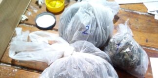 Escobar: Desbaratan una peligrosa banda delictiva en el barrio Stone